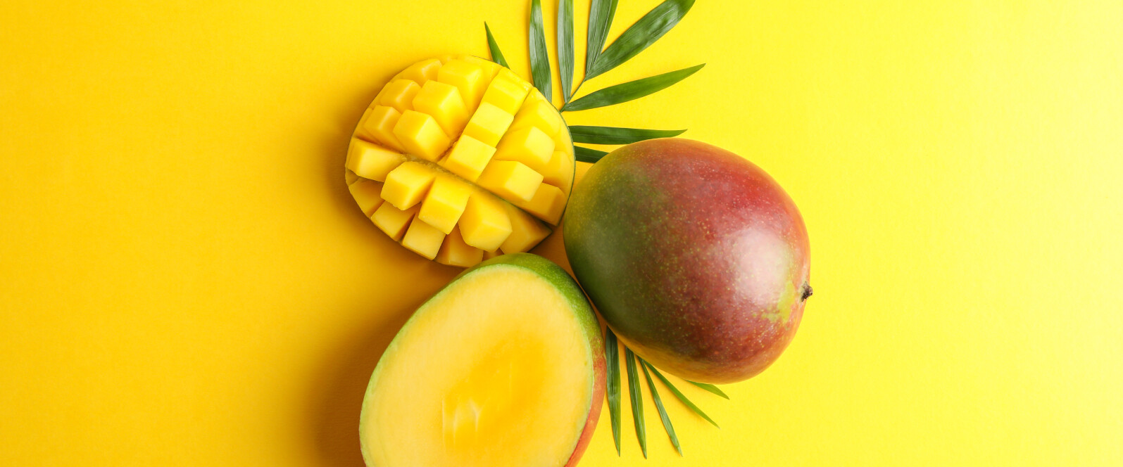 Eine offene und angeschnittene Mango und eine geschlossene Mango vor fruchtig gelben Hintergrund